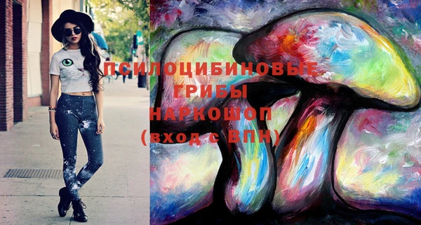 бошки Чегем