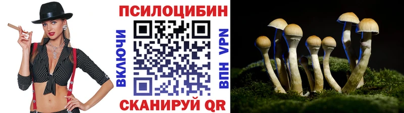 Галлюциногенные грибы Psilocybe  Алатырь 