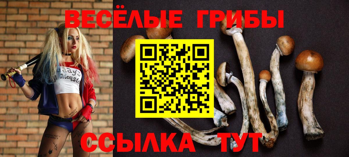 Псилоцибиновые грибы GOLDEN TEACHER Алатырь