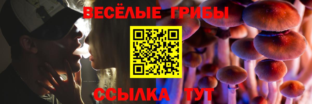 Псилоцибиновые грибы Magic Shrooms  Псилоцибиновые грибы мухоморы  Алатырь  Вход с VPN 