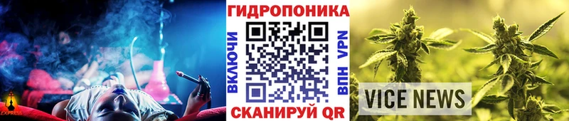 где найти   Алатырь  Канабис сатива 